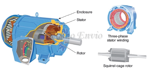 Squirrel-Cage Induction Motor